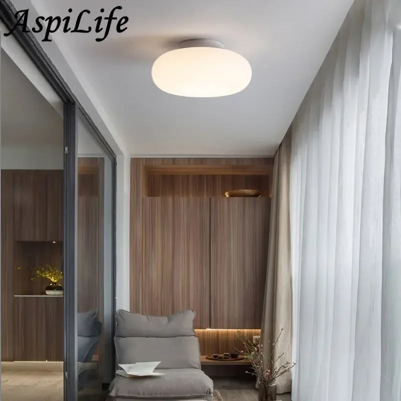 Lustre LED Apple modernes maison salon chambre couloir porche balcon