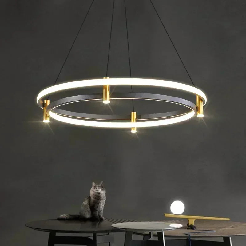 lustre moderne en anneau avec éclairage led décoratif - vue 3 sur 11
