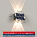 48561533944154|48561534894426