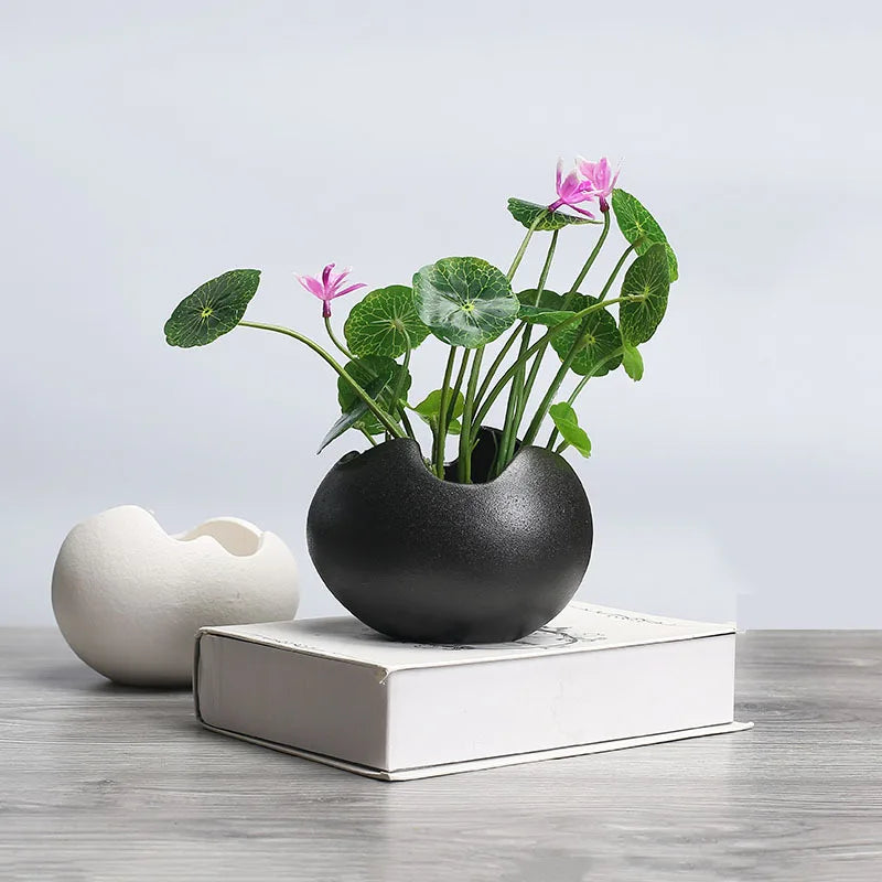 pot de fleurs hydroponique rétro en céramique pour plantes succulentes - vue 4 sur 9