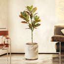 plantes artificielles grandes tailles tropicales ficus codiaeum décor intérieur