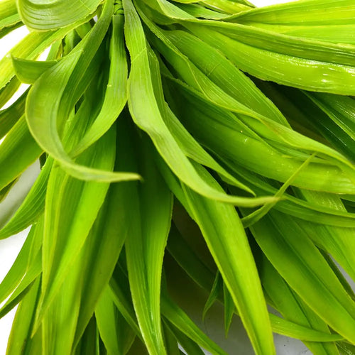 plantes artificielles chlorophytum pour décoration intérieure et extérieure - vue 3 sur 7