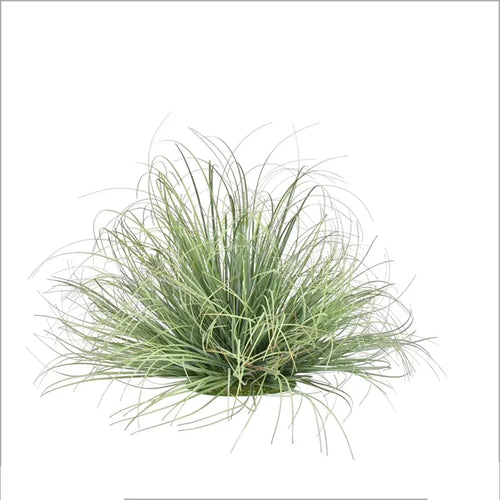 plantes artificielles en touffe pour décorations commerciales - vue 7 sur 8