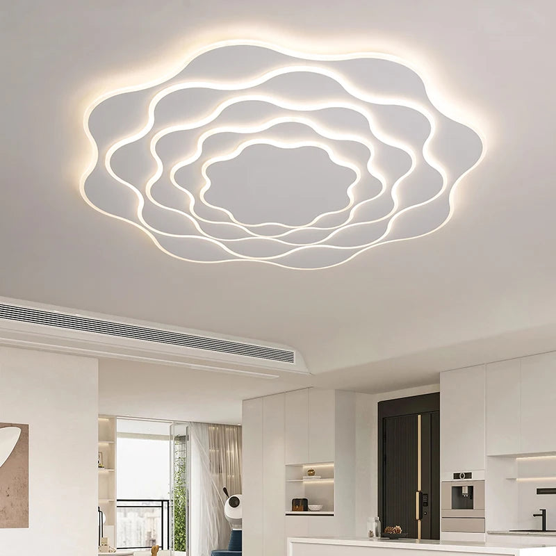 Plafonnier moderne en fer acrylique led dimmable éclairage intérieur