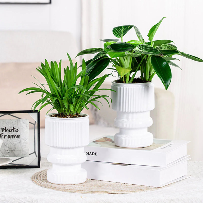 pot de fleurs hydroponique avec arrosage automatique décoration jardin