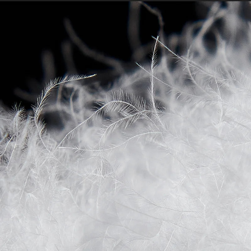 couette d'hiver 100 pourcent duvet d'oie douce et chaude