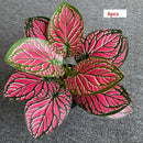 feuilles de phénix artificielles décoration verte en plastique