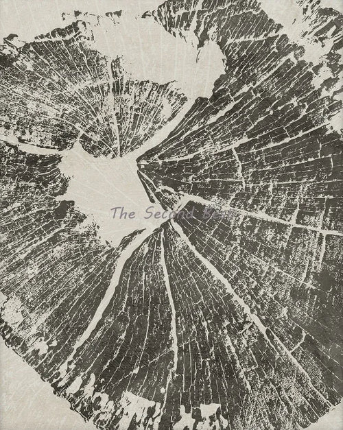 affiches abstraites sur les anneaux des arbres décoration art mural