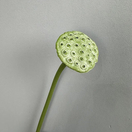 plantes artificielles lotus touché réel décoration florale pour intérieur