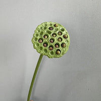 plantes artificielles lotus touché réel décoration florale pour intérieur