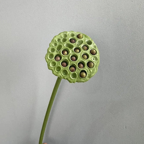 plantes artificielles lotus touché réel décoration florale pour intérieur
