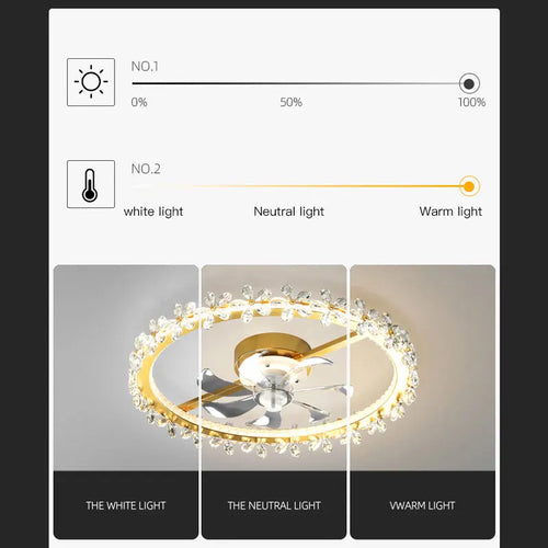 ventilateur de plafond moderne avec lumière et contrôle intelligent - vue 5 sur 10