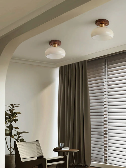 Grass Led Ceiling Lamp for Hallway, Entryway, Kitchen, Foyer Living Room Indoor Lighting white lamps home Decor Lustres fixture - vue 4 sur 7
