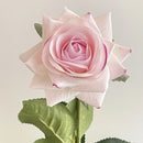 lot de 5 fleurs artificielles hydratantes pour mariage et saint-valentin