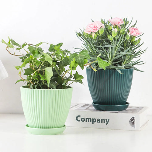 pots de jardin multicolores avec plateau pour semis de fleurs - vue 2 sur 10