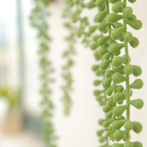 plantes succulentes artificielles décoratives en rotin pour jardin suspendu - vue 3 sur 8