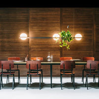 suspension style industriel avec petite plante verte