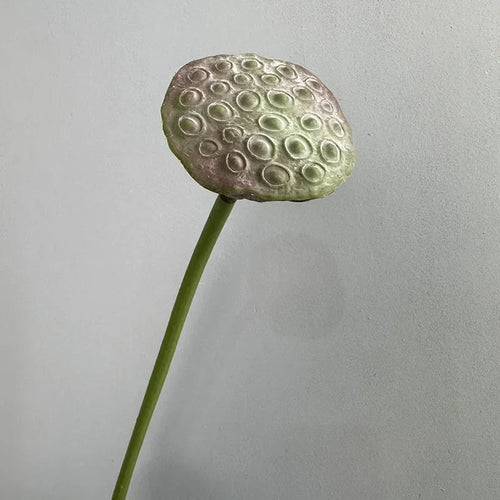 plantes artificielles lotus touché réel décoration florale pour intérieur - vue 9 sur 8