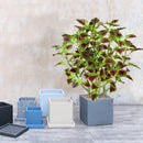 plantes artificielles d'eucalyptus et menthe tropicale pour décoration intérieur