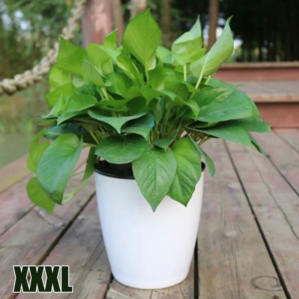 pot de fleurs automatique en plastique effet porcelaine - vue 8 sur 12