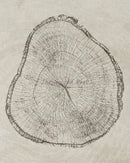 art abstrait sur anneaux d'arbres pour décoration intérieure