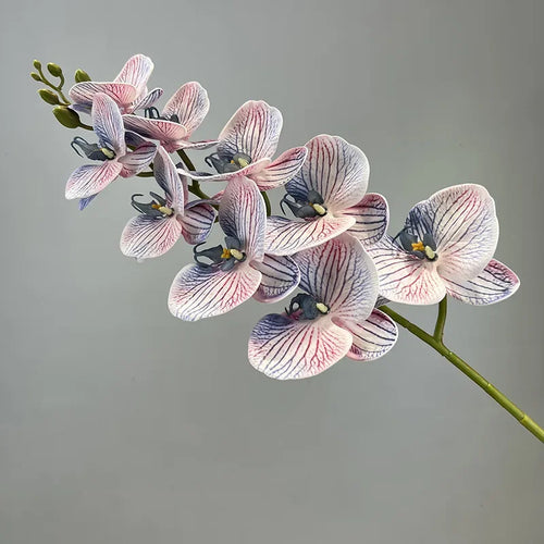 fleurs artificielles orchidée papillon en coton et silicone décoratives - vue 13 sur 12