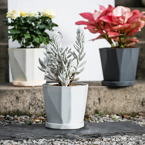 pot de fleurs en résine nordique pour plantes succulentes