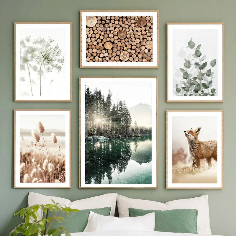 affiches paysage naturel matin lac plage herbe art mural