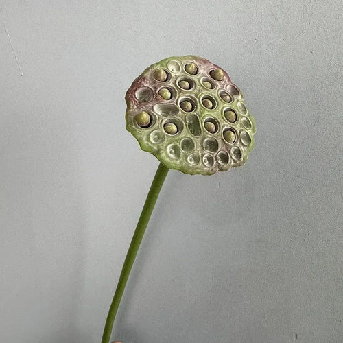 plantes artificielles lotus touché réel décoration florale pour intérieur - vue 8 sur 8