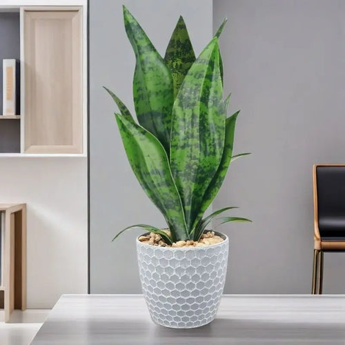 plantes succulentes artificielles décoration intérieure et extérieure - vue 6 sur 6