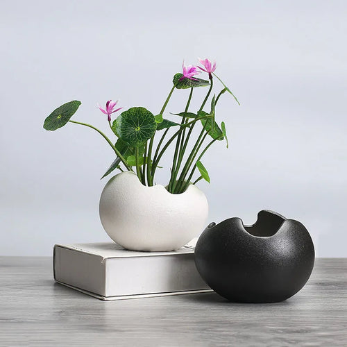 pot de fleurs hydroponique rétro en céramique pour plantes succulentes - vue 2 sur 9