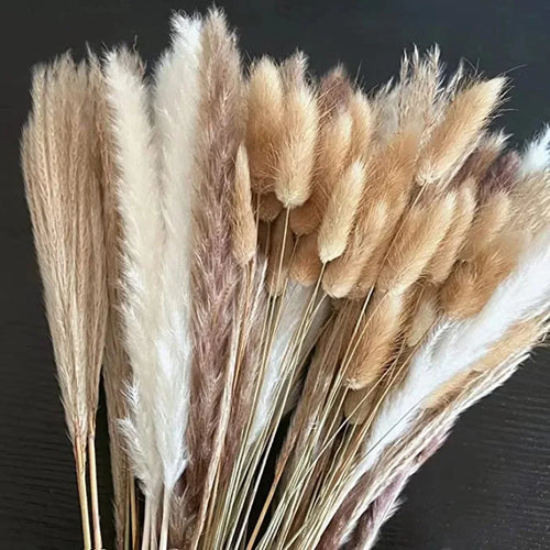 lot de 100 bouquets dherbe de pampa pour décoration bohème mariage - vue 9 sur 13