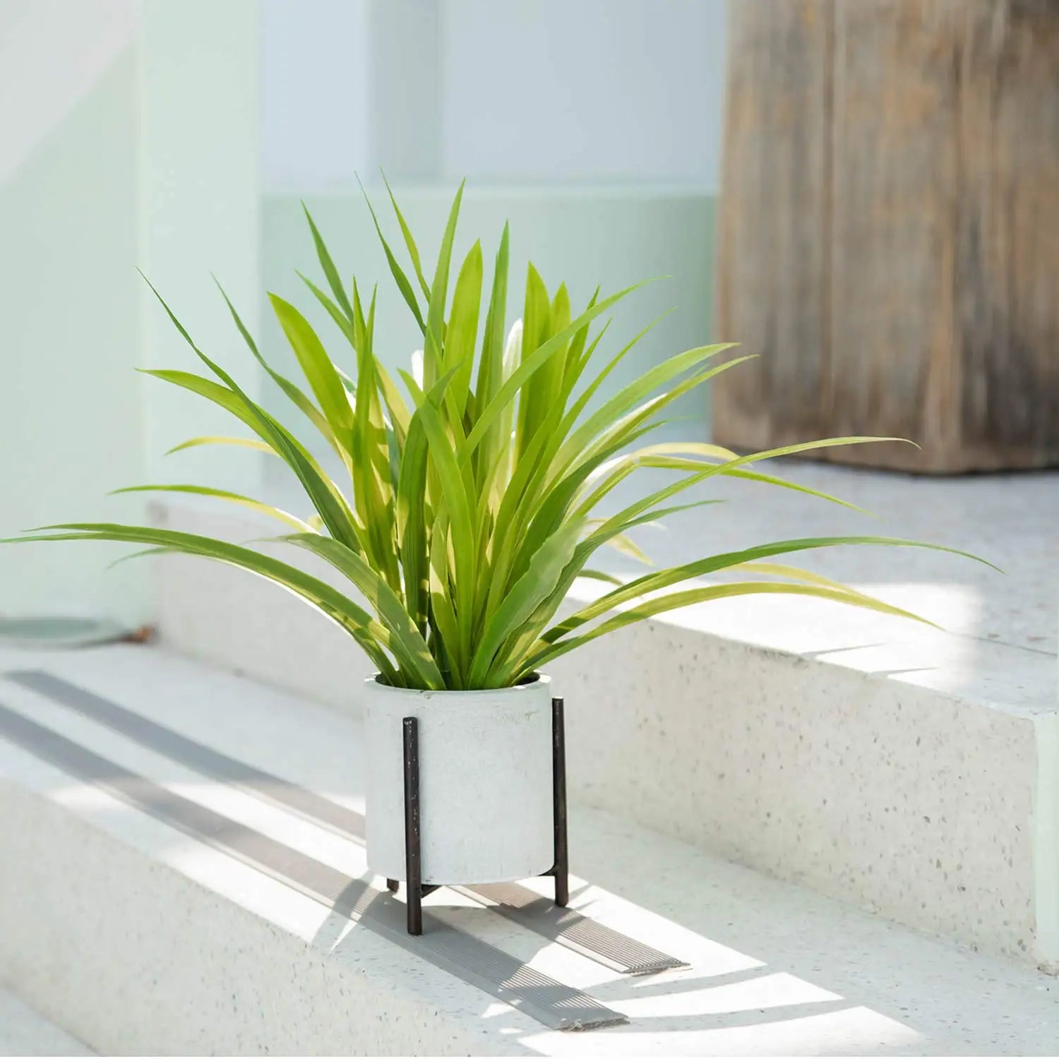plantes artificielles chlorophytum pour décoration intérieure et extérieure - vue 5 sur 7