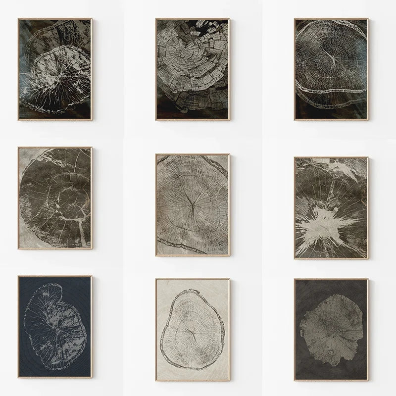 affiches abstraites sur anneaux d'arbres pour décoration intérieure