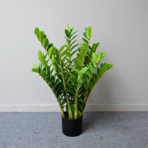 plantes artificielles ficus et zamioculcas pour décoration intérieure - vue 5 sur 14