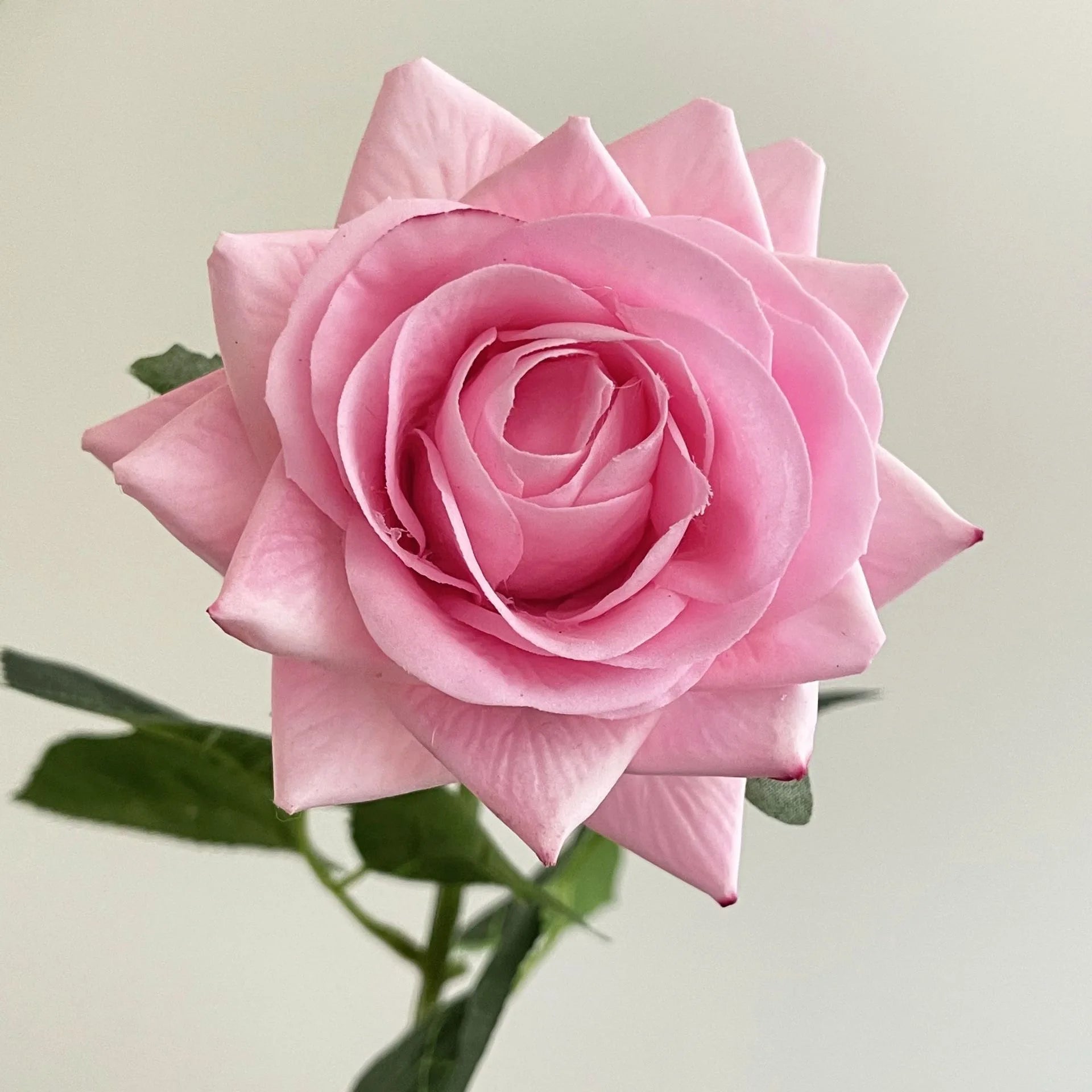 lot de 5 fleurs artificielles hydratantes pour mariage et saint-valentin - vue 14 sur 15