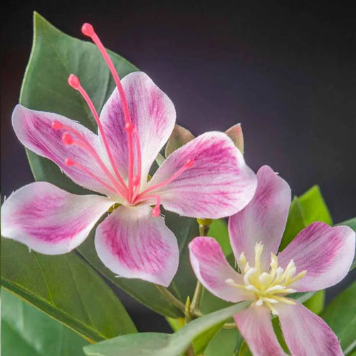 plante artificielle ficus banyan pour décoration intérieure et extérieure - vue 5 sur 12