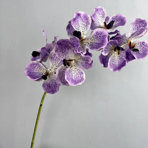 lot de 2 orchidées artificielles vanda pour décoration intérieure - vue 12 sur 12