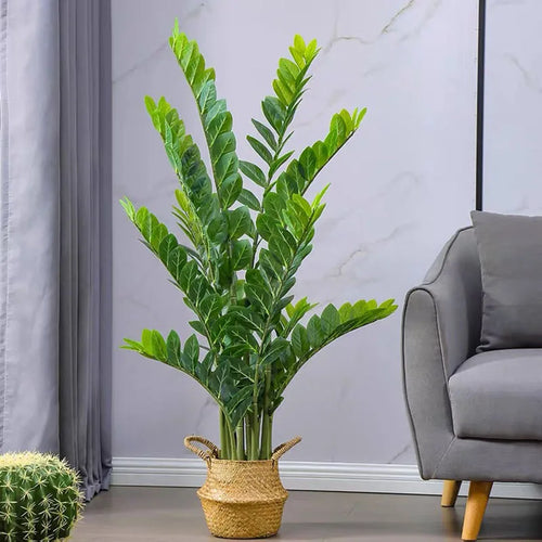 plante artificielle ficus arbre banyan pour décoration intérieure et extérieure - vue 2 sur 13