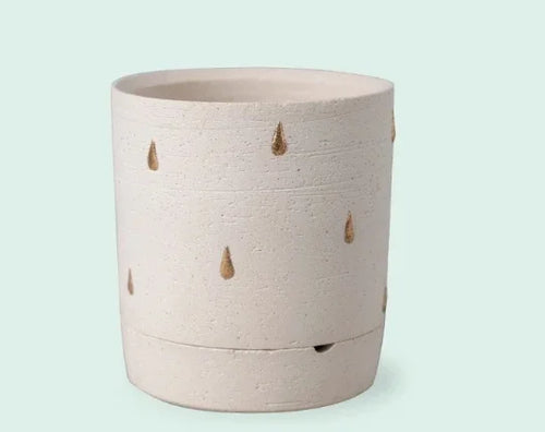 pot de fleurs en céramique pour succulentes style nordique - vue 11 sur 10