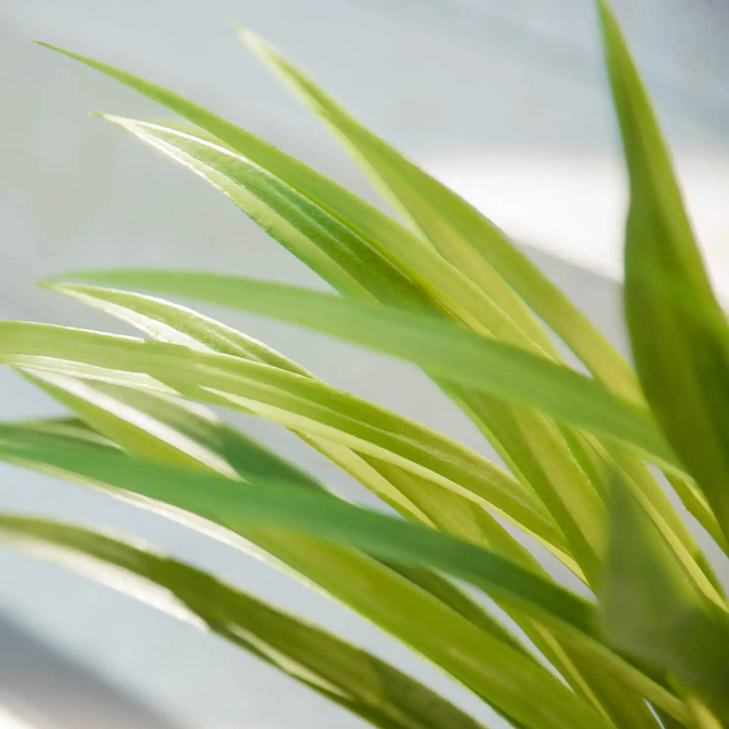 plantes artificielles chlorophytum pour décoration intérieure et extérieure - vue 6 sur 7