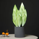 plante tropicale artificielle avec feuilles d'orchidée pour décoration intérieure