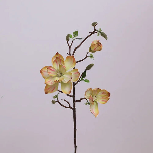 branches de magnolias artificielles pour décoration intérieure - vue 8 sur 14