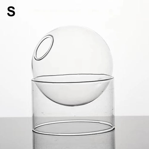 mini vase rond en verre pour décoration hydroponique écologique - vue 16 sur 18