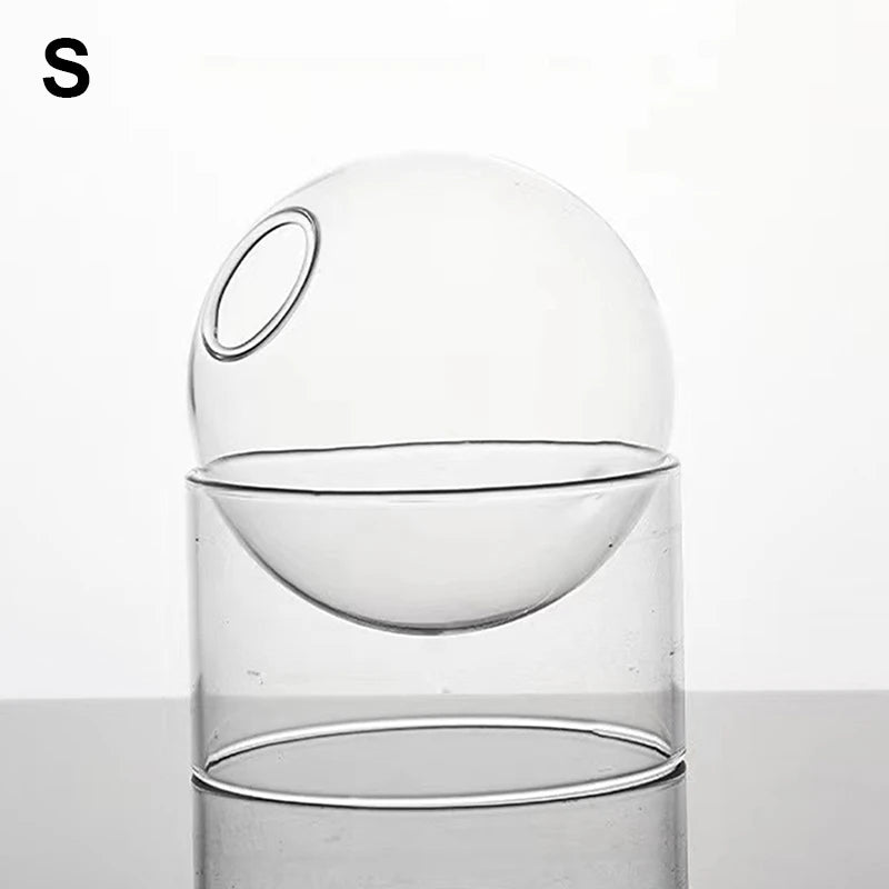 mini vase rond en verre pour décoration hydroponique écologique - vue 15 sur 18