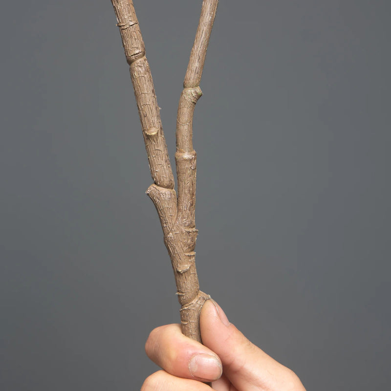 branche d'arbre de ficus artificiel pour décoration intérieure et extérieure