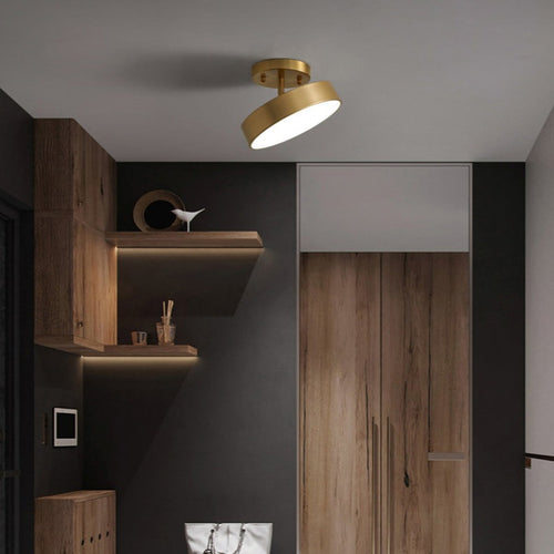 Celio modern minimalist metal LED ceiling light