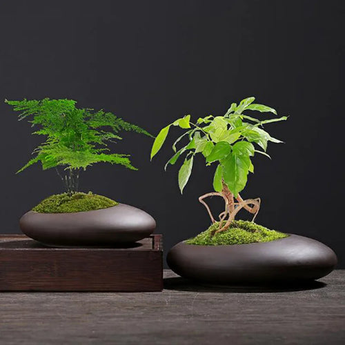 pot de fleurs en argile rétro style chinois pour décoration de jardin - vue 2 sur 7
