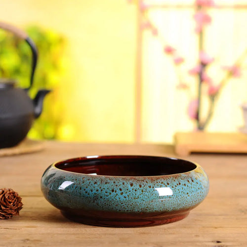 pots hydroponiques ronds pour plantes succulentes jardin intérieur - vue 11 sur 11