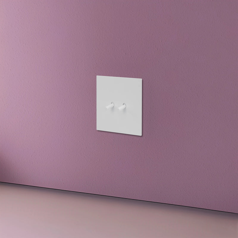 Prise électrique et double USB et USB type C en acier blanc mat